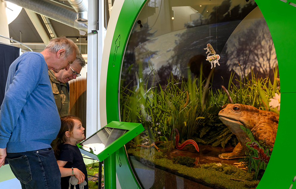  Visitor Centre De Hoep